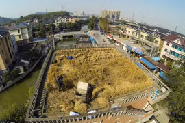 Nông dân trồng lúa trên mái nhà 4 tầng