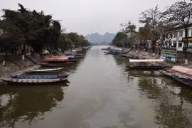 Gallery - TẾT 2022 - image 3