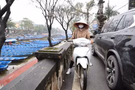 Gallery - TẾT 2022