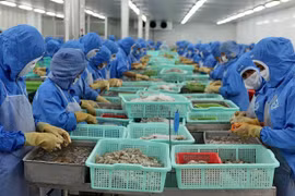Bộ Thương mại Mỹ tiếp tục áp thuế chống bán phá giá với tôm nước ấm Việt Nam