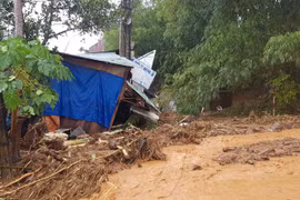 Gallery - HLV Bruno Chia Tay Tuyển Việt Nam - image 5