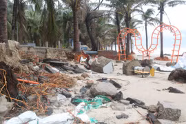 Gallery - HLV Bruno Chia Tay Tuyển Việt Nam - image 6