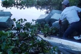 Giáp Tết, buôn lậu lộng hành ngày đêm trên đất Long An