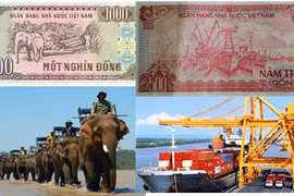 Hình ảnh thực những chi tiết in trên đồng tiền Việt Nam