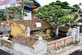 Điều bất ngờ về tiểu cảnh nhà ba gian đang gây “sốt“