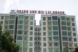 Gallery - Hoàng Anh Gia Lai lỗ nặng - image 7