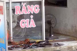 Gallery - Quảng Cáo Gây Cười - image 4