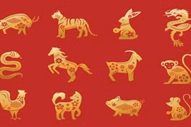 Tuần mới (1/1/2024 - 7/1/2024): 3 con giáp tài lộc tăng vọt