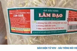 Gallery - GIÁ ĐỖ NGÂM HÓA CHẤT Ở BÁCH HÓA XANH - image 3