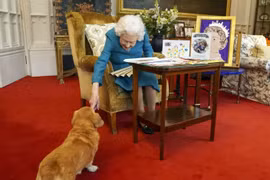 Gallery - NỮ HOÀNG ANH ELIZABETH II QUA ĐỜI - image 10