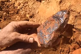 Đào lên thứ lóe sáng dưới bùn, chàng trai vớ được kho báu hiếm