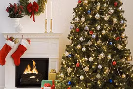 Cây thông Noel đầu tiên trên thế giới không phải là... loại cây