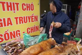 Gallery - Hà Nội cấm ăn thịt chó - image 1