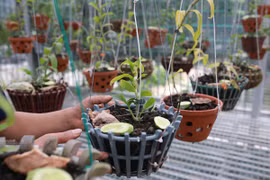 Gallery - LAN ĐỘT BIẾN TRĂM TỶ - image 7