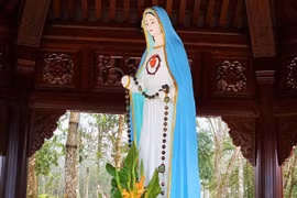 Gallery - Việt Nam & Thế Giới - image 3