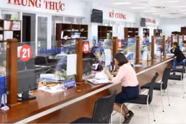 Phó Giám đốc tại Vĩnh Long được bổ nhiệm trái hướng dẫn