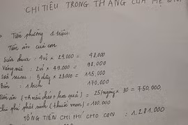 Bảng chi tiêu 3 triệu/tháng của gia đình 5 người gây tranh cãi