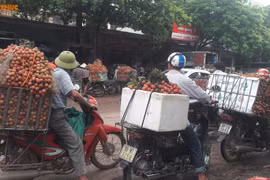 Gallery - Bộ Y Tế Thanh Tra Pepsico Việt Nam - image 3