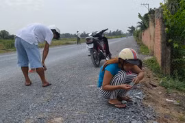 Dân Trà Vinh đổ xô nhặt vàng trên đường
