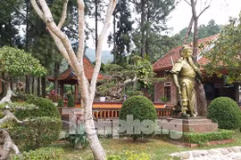 Gallery - Đặc khu - image 3