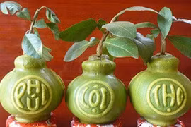Chùm ảnh loại trái cây tạo hình độc lạ trưng Tết