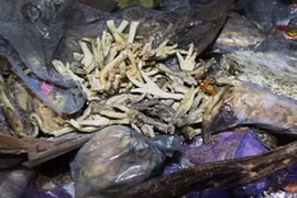 Rúng động những vụ thực phẩm quá hạn không tưởng