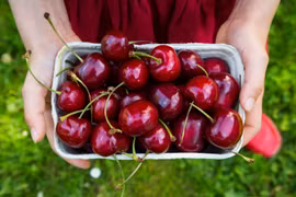 Gallery - Phòng Chống Bệnh Gout - image 3