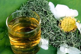 Gallery - Chữa Bệnh Bằng Thảo Dược - image 12