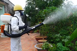 Thuốc diệt côn trùng khiến hơn 40 công nhân bị ngộ độc nguy hiểm ra sao?