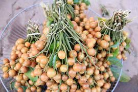 Những bài thuốc quý từ quả quất hồng bì ít người biết