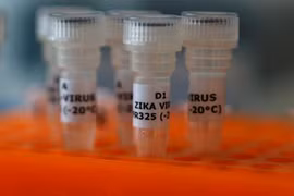 Gallery - Virus Zika Ăn Não Người Ở Việt Nam - image 8