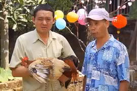 3 phim hài Tết 2017 được đón chờ nhất