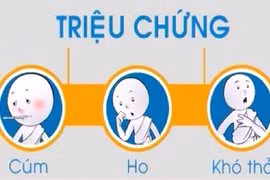 Gallery - Dịch Bệnh MERS-CoV 2015 - image 2