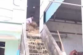 Gallery - Những Video Cover Hay Nhất - image 2