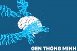 Video: Con người thông minh nhờ những loại gen này