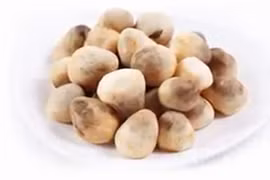 Công dụng của nấm rơm với sức khỏe có thể bạn chưa biết
