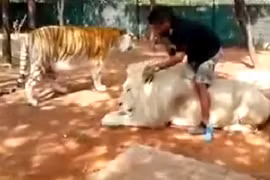 “Việc nhẹ lương cao” ít ai dám làm