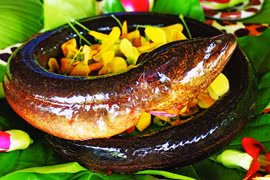 Gallery - Món Ngon Từ Lươn - image 9
