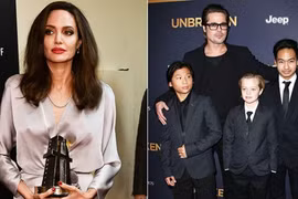 Gallery - Angelina Jolie và Brad Pitt ly hôn - image 2