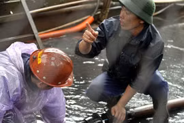 Gallery - Mưa Lũ Ở Quảng Ninh - image 12