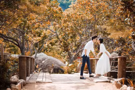 Gallery - Á hậu Tú Anh - image 8