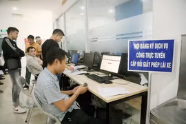 Hướng dẫn cách đổi giấy phép lái xe ô tô trực tuyến nhanh gọn