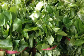 Lợi ích tuyệt vời của rau sắng đối với sức khỏe