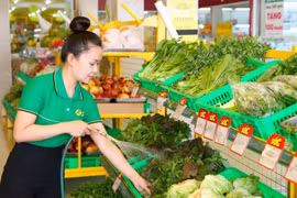 Bách Hoá Xanh mang doanh thu 37.400 tỷ cho MWG trong 11 tháng