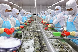 'Vua tôm' Minh Phú hào phóng chi 300 tỷ cổ tức dù thua lỗ
