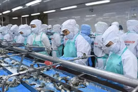 Sao Ta (FMC) cài số lùi kế hoạch lợi nhuận năm 2025