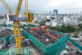 Cổ đông Coteccons sắp được nhận cổ tức tiền mặt sau 3 năm