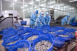 Doanh số tháng 2 của Sao Ta tăng trưởng 85%