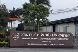 Cổ phiếu NFC phá đỉnh lịch sử sau chuỗi tăng trần, Phân lân Ninh Bình nói gì?