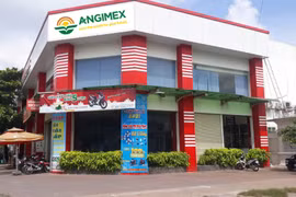 'Đại gia một thời' Angimex miễn nhiệm lãnh đạo vì quản lý yếu kém